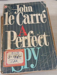Image of A Perfect Spy