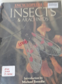 Image of Encyclopedia Of Insects & Arachnids