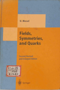 Image of Fields, symmetries and quarks : with 30 figures .