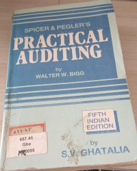 Image of Practical Auditing