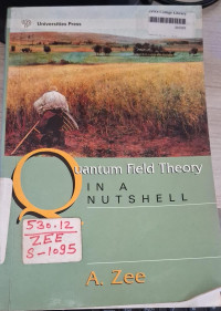Image of Quantum Field Theory in a Nutshell
