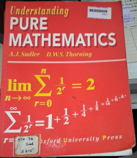 Image of Understanding Pure Mathematics